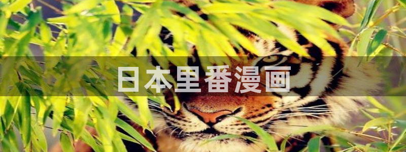 香蕉漫画入口网站：日本里番漫画