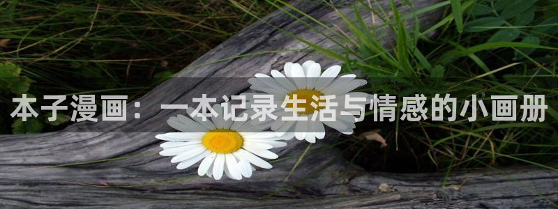 香蕉漫画书免费阅读下拉式小说：本子漫画：一本记录生活与情感的小画册