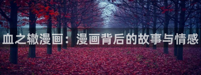 香蕉漫画书免费阅读下拉式最新：血之辙漫画：漫画背后的故事与情感